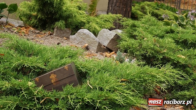 Zdjęcie w galerii na portalu naszraciborz.pl: Pirackie podchody w raciborskiej bibliotece wiadomości z regionu