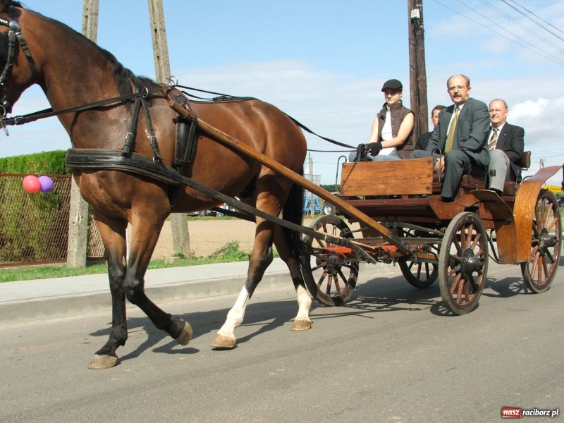 Zdjęcie w galerii na portalu naszraciborz.pl: Bóg błogosławił, ziemia plon wydała… wiadomości z regionu