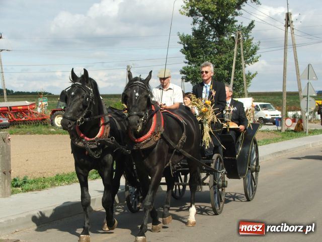Zdjęcie w galerii na portalu naszraciborz.pl: Bóg błogosławił, ziemia plon wydała… wiadomości z regionu