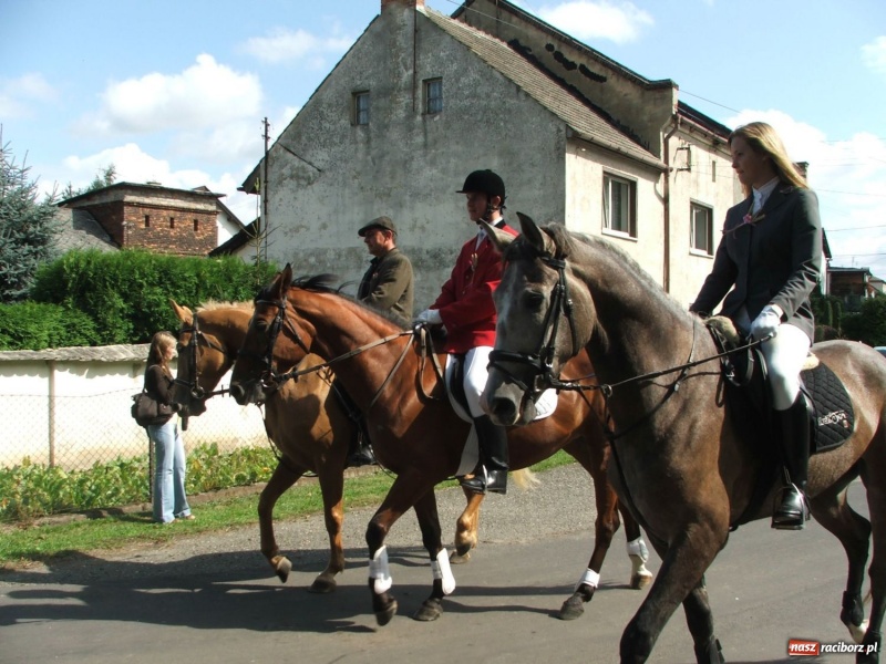 Zdjęcie w galerii na portalu naszraciborz.pl: Bóg błogosławił, ziemia plon wydała… wiadomości z regionu