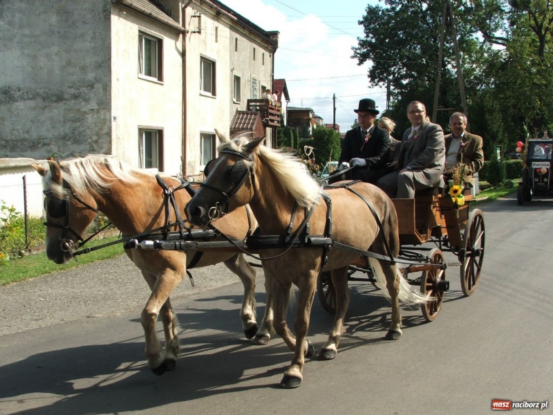 Zdjęcie w galerii na portalu naszraciborz.pl: Bóg błogosławił, ziemia plon wydała… wiadomości z regionu