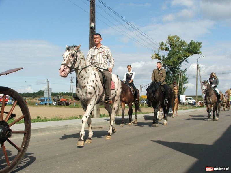 Zdjęcie w galerii na portalu naszraciborz.pl: Bóg błogosławił, ziemia plon wydała… wiadomości z regionu