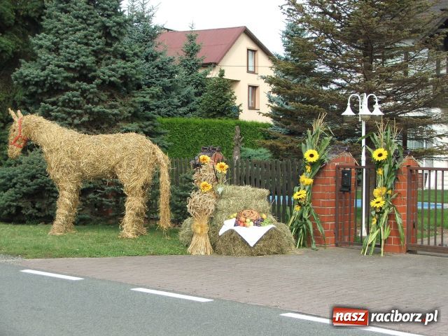 Zdjęcie w galerii na portalu naszraciborz.pl: Bóg błogosławił, ziemia plon wydała… wiadomości z regionu