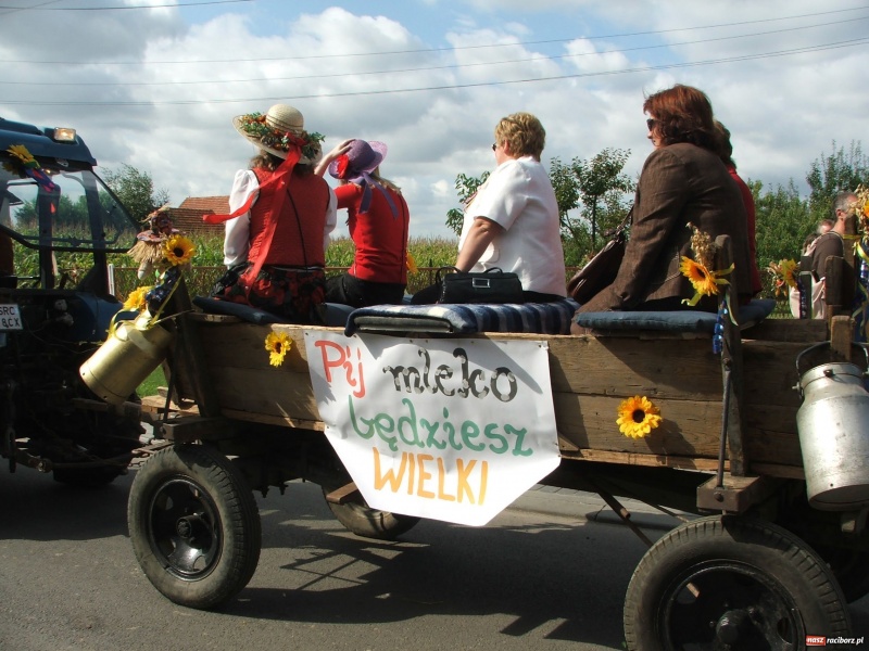 Zdjęcie w galerii na portalu naszraciborz.pl: Bóg błogosławił, ziemia plon wydała… wiadomości z regionu