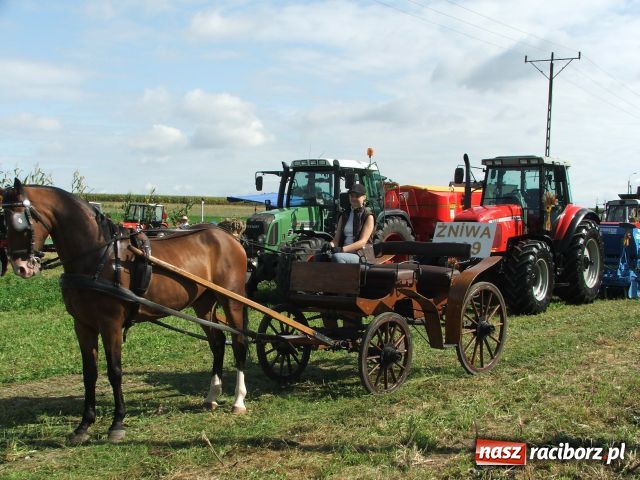 Zdjęcie w galerii na portalu naszraciborz.pl: Bóg błogosławił, ziemia plon wydała… wiadomości z regionu