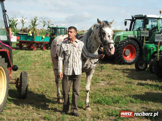 Zdjęcie w galerii na portalu naszraciborz.pl: Bóg błogosławił, ziemia plon wydała… wiadomości z regionu