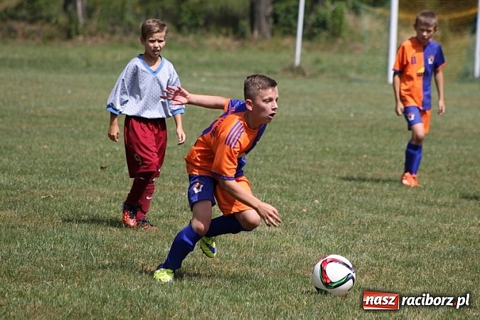Zdjęcie w galerii na portalu naszraciborz.pl: Pełne emocji popołudnie i wiecz&oacute;r, czyli festyn LKS Wojnowice wiadomości z regionu