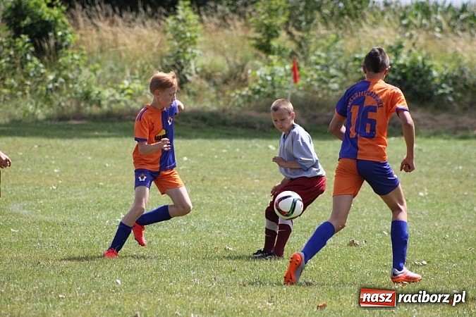 Zdjęcie w galerii na portalu naszraciborz.pl: Pełne emocji popołudnie i wiecz&oacute;r, czyli festyn LKS Wojnowice wiadomości z regionu