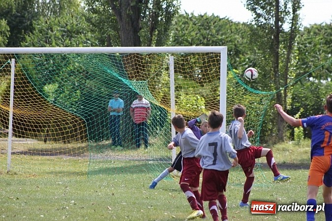 Zdjęcie w galerii na portalu naszraciborz.pl: Pełne emocji popołudnie i wiecz&oacute;r, czyli festyn LKS Wojnowice wiadomości z regionu
