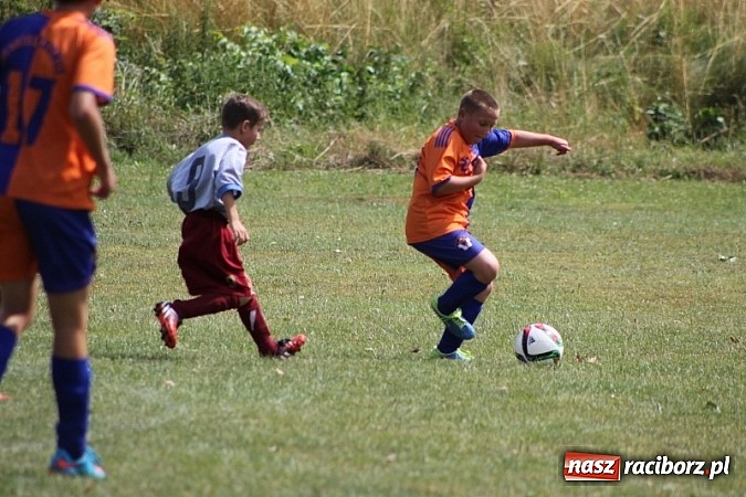 Zdjęcie w galerii na portalu naszraciborz.pl: Pełne emocji popołudnie i wiecz&oacute;r, czyli festyn LKS Wojnowice wiadomości z regionu