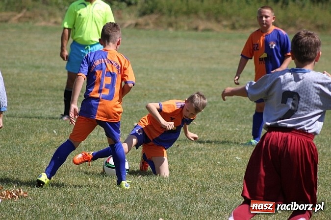 Zdjęcie w galerii na portalu naszraciborz.pl: Pełne emocji popołudnie i wiecz&oacute;r, czyli festyn LKS Wojnowice wiadomości z regionu