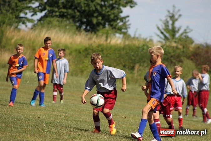 Zdjęcie w galerii na portalu naszraciborz.pl: Pełne emocji popołudnie i wiecz&oacute;r, czyli festyn LKS Wojnowice wiadomości z regionu