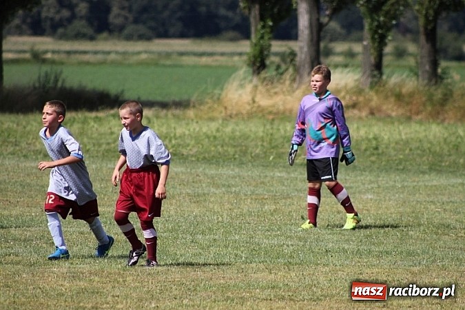Zdjęcie w galerii na portalu naszraciborz.pl: Pełne emocji popołudnie i wiecz&oacute;r, czyli festyn LKS Wojnowice wiadomości z regionu