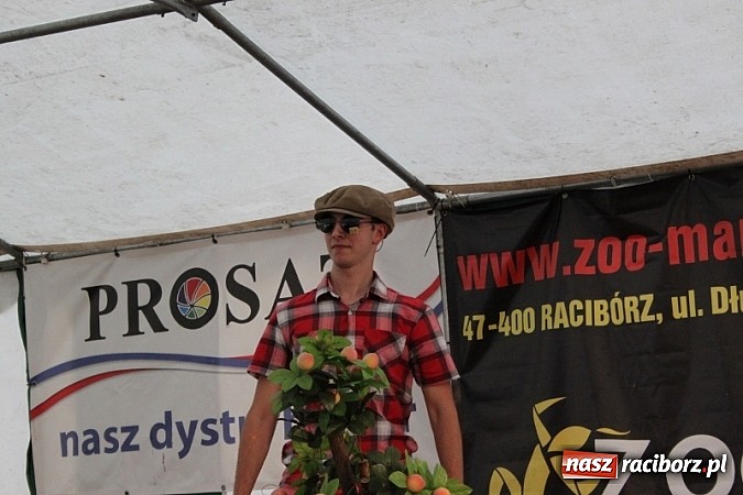 Zdjęcie w galerii na portalu naszraciborz.pl: Pełne emocji popołudnie i wiecz&oacute;r, czyli festyn LKS Wojnowice wiadomości z regionu