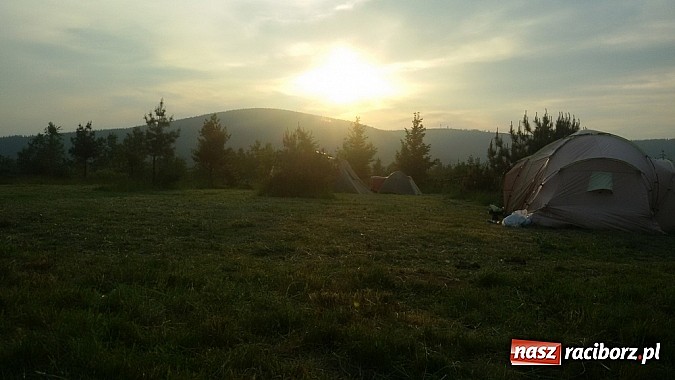 Zdjęcie w galerii na portalu naszraciborz.pl: Udowodniły, że poza komputerem jest inny, ciekawszy świat wiadomości z regionu