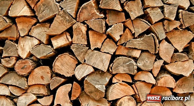 Zdjęcie w galerii na portalu naszraciborz.pl: Tartak w Pietrowicach Wielkich – doświadczenie i profesjonalizm wiadomości z regionu