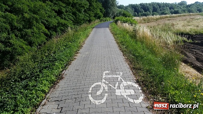 Zdjęcie w galerii na portalu naszraciborz.pl: Raciborskie inspiracje - Czytelnicy stawiają pytania  wiadomości z regionu