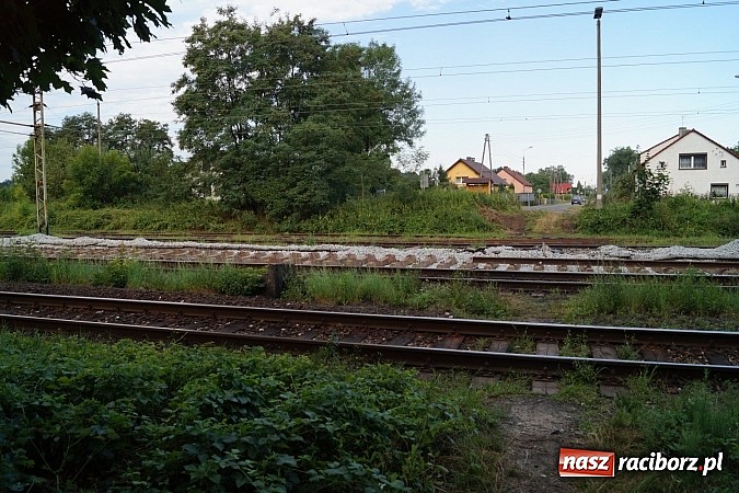 Zdjęcie w galerii na portalu naszraciborz.pl: Nędza: jest szansa na nowe kładki dla pieszych nad torami wiadomości z regionu