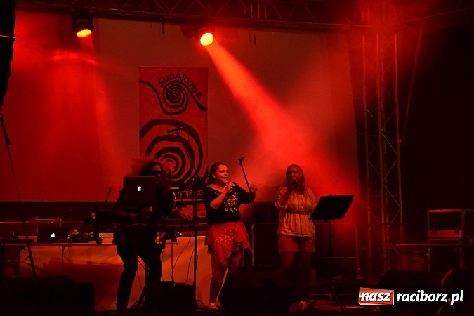 Zdjęcie w galerii na portalu naszraciborz.pl: Festiwal Muzyki Elektronicznej INTRO 2015 za nami  wiadomości z regionu