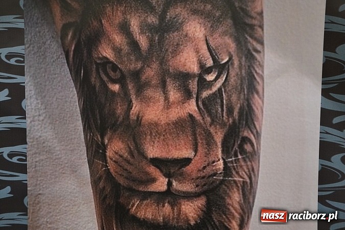 Zdjęcie w galerii na portalu naszraciborz.pl: Festiwal Muzyki Elektronicznej INTRO 2015 za nami  wiadomości z regionu