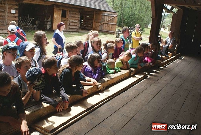 Zdjęcie w galerii na portalu naszraciborz.pl: Akcja Lato w klubach Nowoczesnej na finiszu wiadomości z regionu