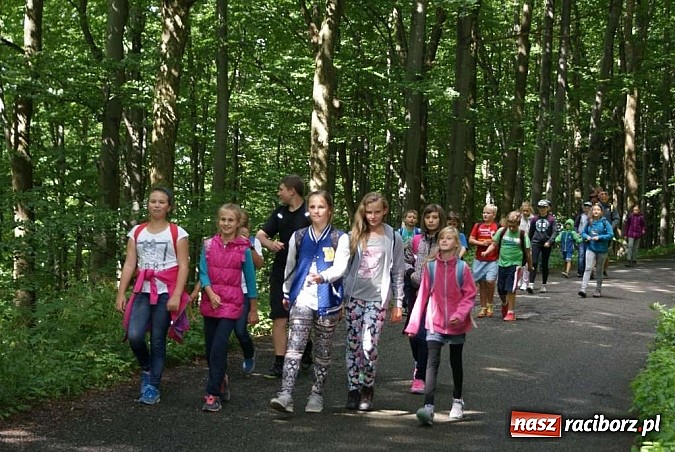 Zdjęcie w galerii na portalu naszraciborz.pl: Akcja Lato w klubach Nowoczesnej na finiszu wiadomości z regionu