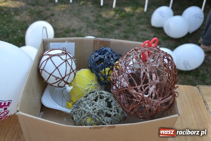 Zdjęcie w galerii na portalu naszraciborz.pl: Letnia Akcja Zamkowe Zuchy 2015 ruszyła na zamku  wiadomości z regionu