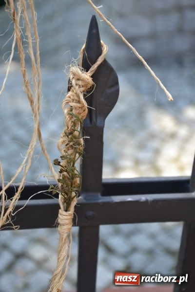 Zdjęcie w galerii na portalu naszraciborz.pl: Letnia Akcja Zamkowe Zuchy 2015 ruszyła na zamku  wiadomości z regionu