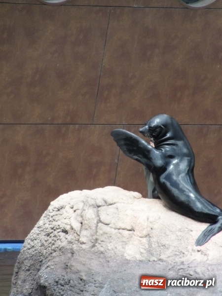 Zdjęcie w galerii na portalu naszraciborz.pl: Akcja Lato 2015 w Rudzie Kozielskiej  wiadomości z regionu