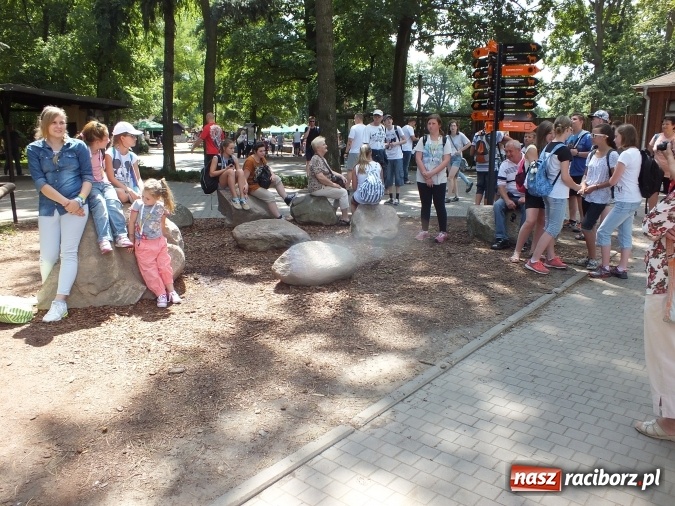 Zdjęcie w galerii na portalu naszraciborz.pl: Akcja Lato 2015 w Rudzie Kozielskiej  wiadomości z regionu