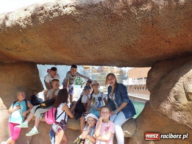 Zdjęcie w galerii na portalu naszraciborz.pl: Akcja Lato 2015 w Rudzie Kozielskiej  wiadomości z regionu