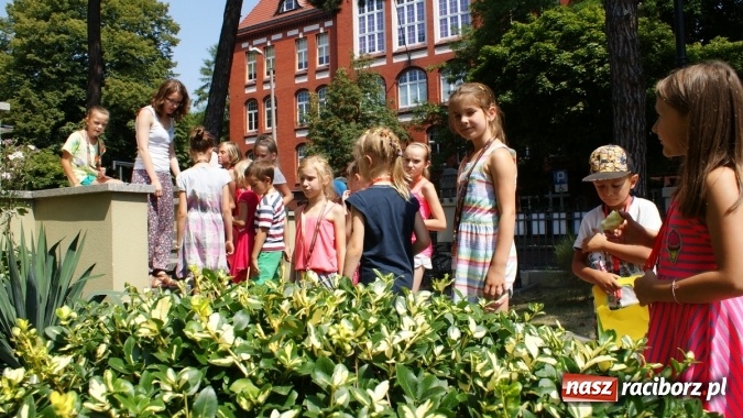 Zdjęcie w galerii na portalu naszraciborz.pl: Lato z Biblioteką w świecie dinozaurów wiadomości z regionu