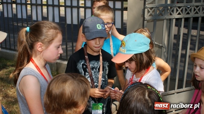 Zdjęcie w galerii na portalu naszraciborz.pl: Lato z Biblioteką w świecie dinozaurów wiadomości z regionu