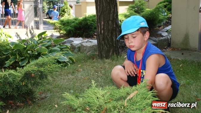 Zdjęcie w galerii na portalu naszraciborz.pl: Lato z Biblioteką w świecie dinozaurów wiadomości z regionu