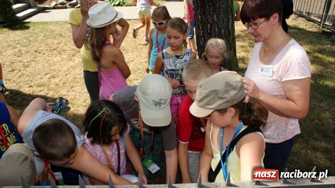 Zdjęcie w galerii na portalu naszraciborz.pl: Lato z Biblioteką w świecie dinozaurów wiadomości z regionu