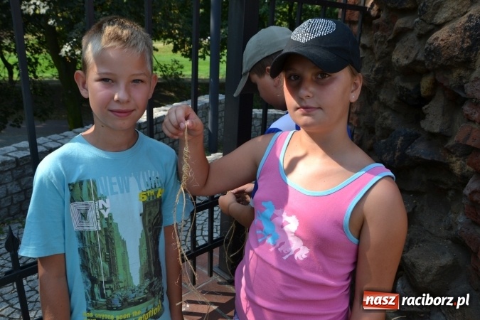 Zdjęcie w galerii na portalu naszraciborz.pl: Kolorowe węzełki i bransoletki, czyli zajęcia z makramy na zamku wiadomości z regionu