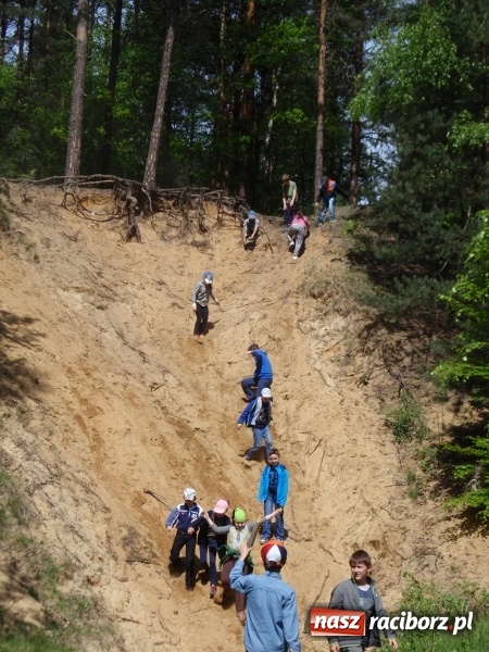 Zdjęcie w galerii na portalu naszraciborz.pl: Wakacyjne warsztaty ekologiczno-przyrodnicze wiadomości z regionu