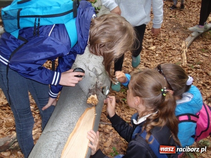 Zdjęcie w galerii na portalu naszraciborz.pl: Wakacyjne warsztaty ekologiczno-przyrodnicze wiadomości z regionu
