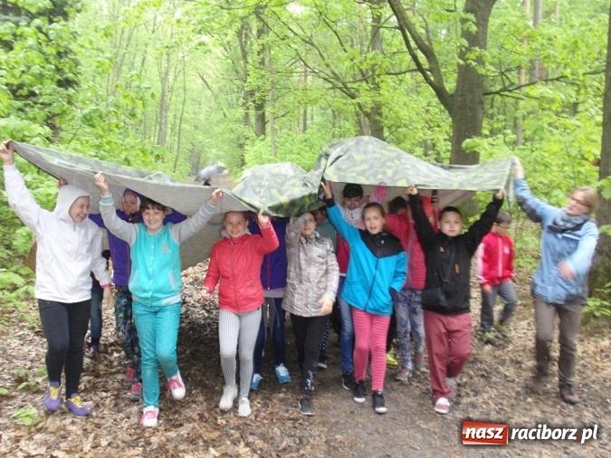 Zdjęcie w galerii na portalu naszraciborz.pl: Wakacyjne warsztaty ekologiczno-przyrodnicze wiadomości z regionu