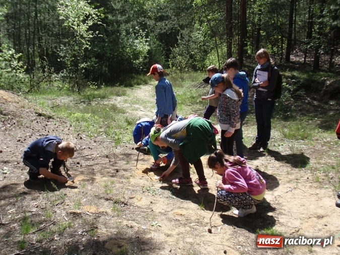 Zdjęcie w galerii na portalu naszraciborz.pl: Wakacyjne warsztaty ekologiczno-przyrodnicze wiadomości z regionu
