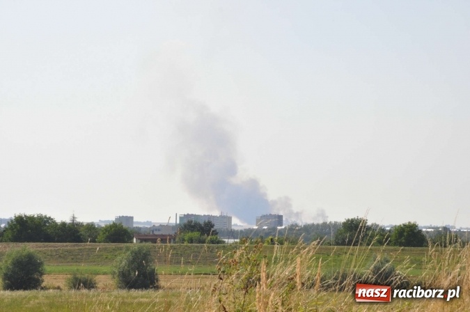 Zdjęcie w galerii na portalu naszraciborz.pl: Słup dymu widoczny aż z Brzezia. W Strzybniku paliło się kilka hektarów ścierniska wiadomości z regionu