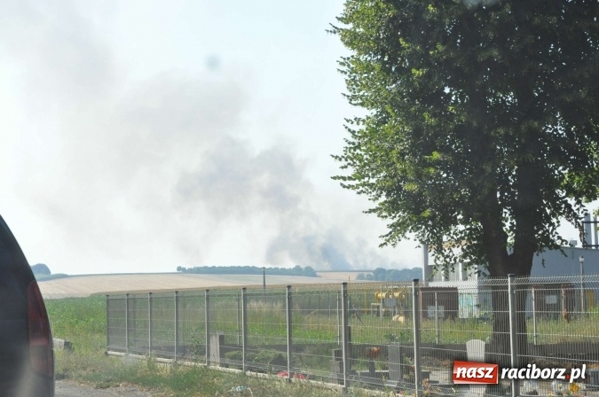 Zdjęcie w galerii na portalu naszraciborz.pl: Słup dymu widoczny aż z Brzezia. W Strzybniku paliło się kilka hektarów ścierniska wiadomości z regionu