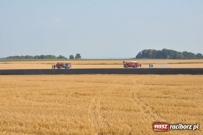 Zdjęcie w galerii na portalu naszraciborz.pl: Słup dymu widoczny aż z Brzezia. W Strzybniku paliło się kilka hektarów ścierniska wiadomości z regionu