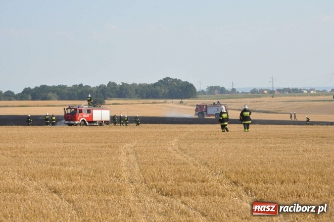 Zdjęcie w galerii na portalu naszraciborz.pl: Słup dymu widoczny aż z Brzezia. W Strzybniku paliło się kilka hektarów ścierniska wiadomości z regionu