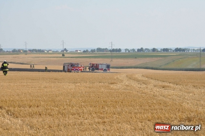 Zdjęcie w galerii na portalu naszraciborz.pl: Słup dymu widoczny aż z Brzezia. W Strzybniku paliło się kilka hektarów ścierniska wiadomości z regionu