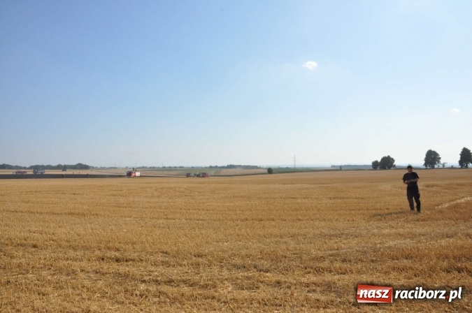 Zdjęcie w galerii na portalu naszraciborz.pl: Słup dymu widoczny aż z Brzezia. W Strzybniku paliło się kilka hektarów ścierniska wiadomości z regionu