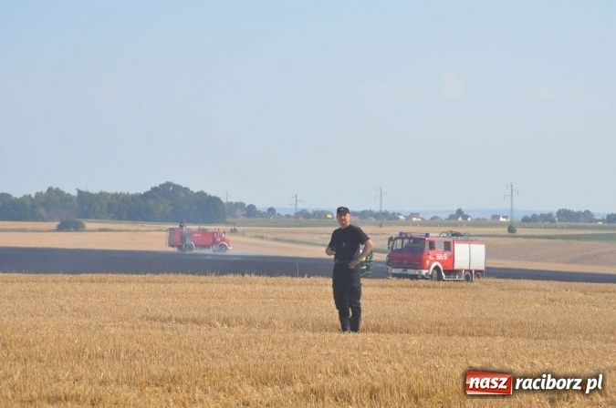 Zdjęcie w galerii na portalu naszraciborz.pl: Słup dymu widoczny aż z Brzezia. W Strzybniku paliło się kilka hektarów ścierniska wiadomości z regionu