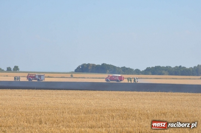 Zdjęcie w galerii na portalu naszraciborz.pl: Słup dymu widoczny aż z Brzezia. W Strzybniku paliło się kilka hektarów ścierniska wiadomości z regionu