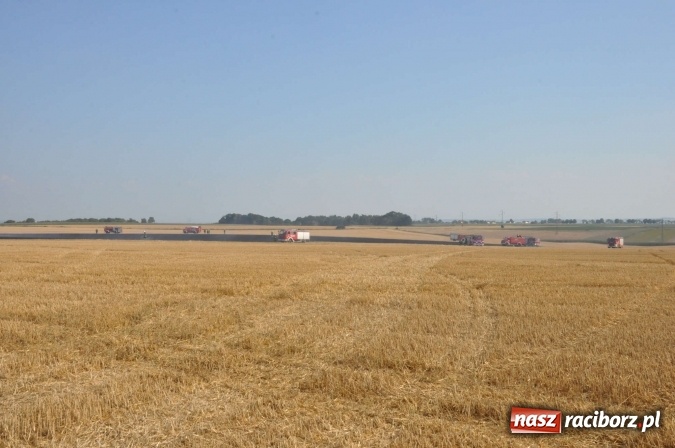 Zdjęcie w galerii na portalu naszraciborz.pl: Słup dymu widoczny aż z Brzezia. W Strzybniku paliło się kilka hektarów ścierniska wiadomości z regionu