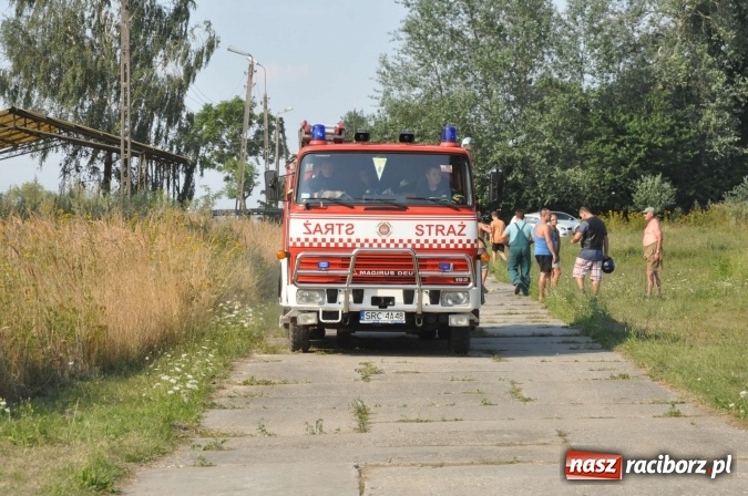 Zdjęcie w galerii na portalu naszraciborz.pl: Słup dymu widoczny aż z Brzezia. W Strzybniku paliło się kilka hektarów ścierniska wiadomości z regionu